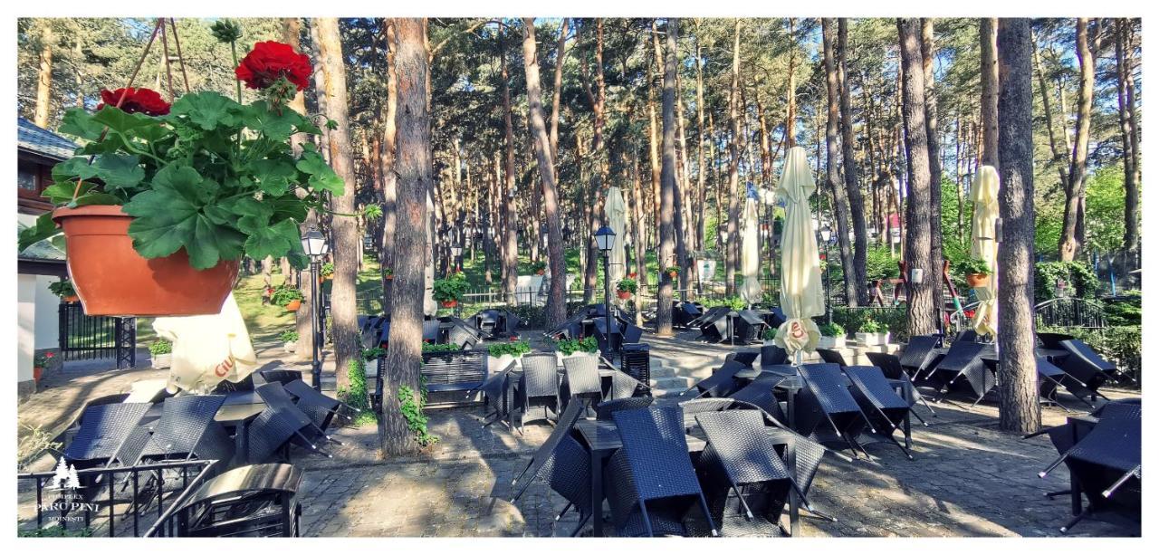 Hotel Complex Parc Pini Moineşti Extérieur photo