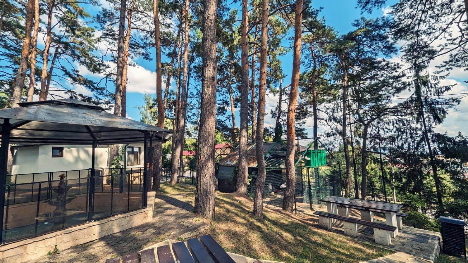 Hotel Complex Parc Pini Moineşti Extérieur photo
